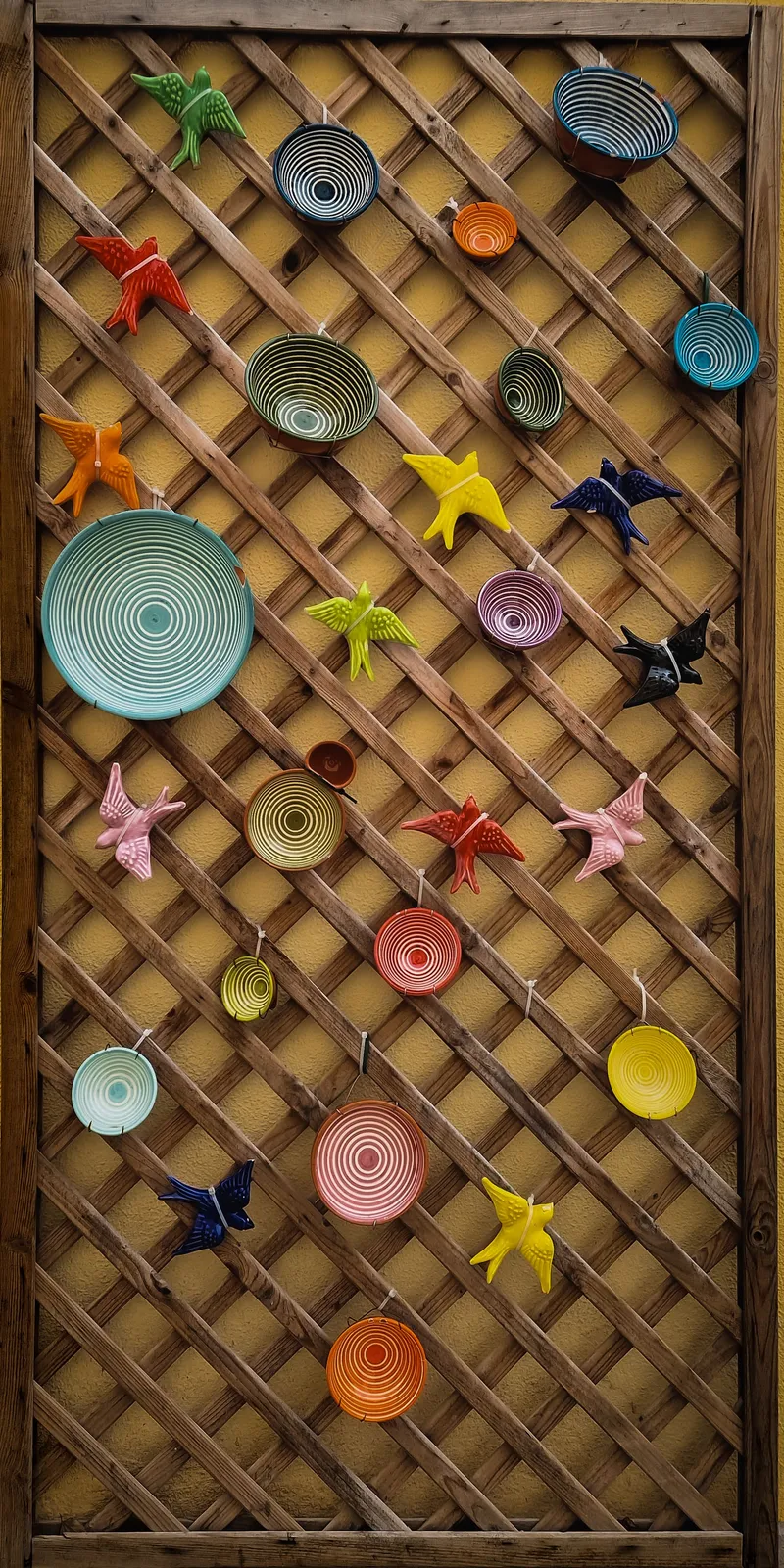 Birds and Bowls