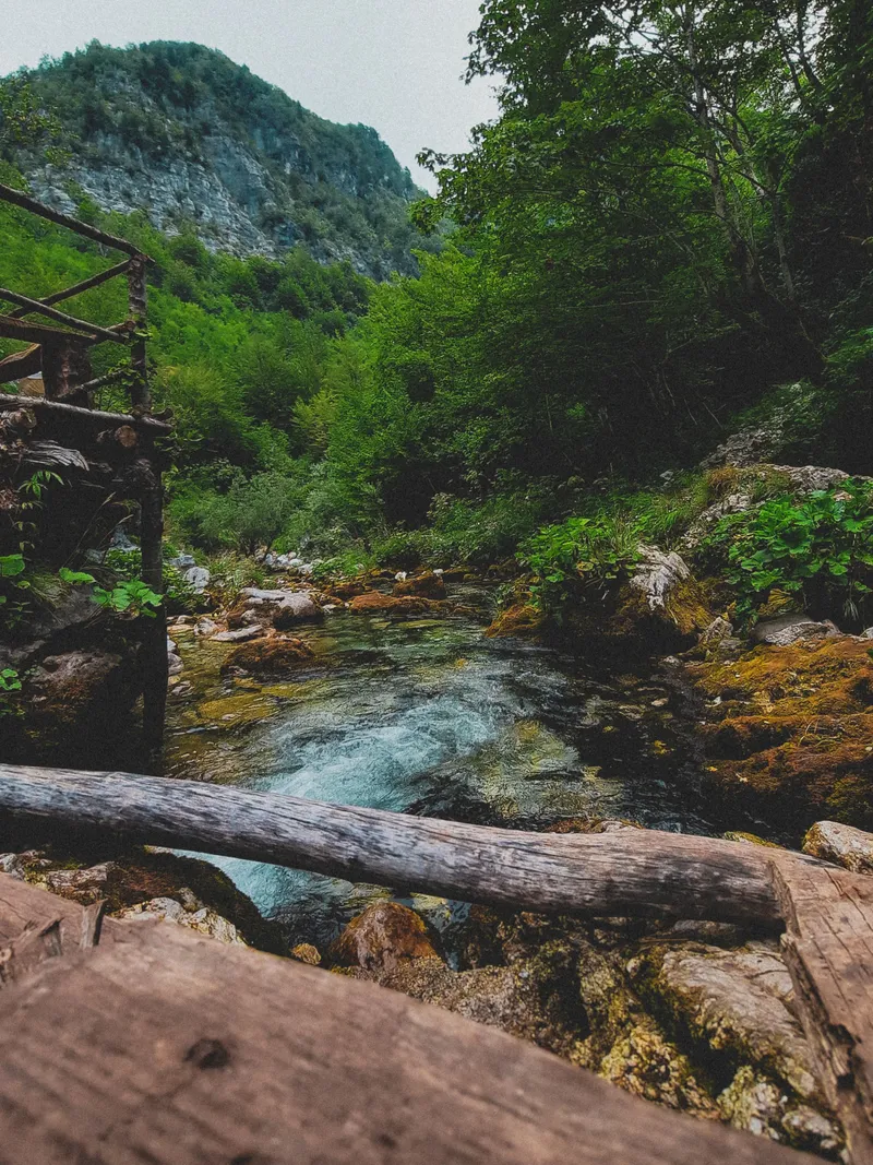 Canyon Creek