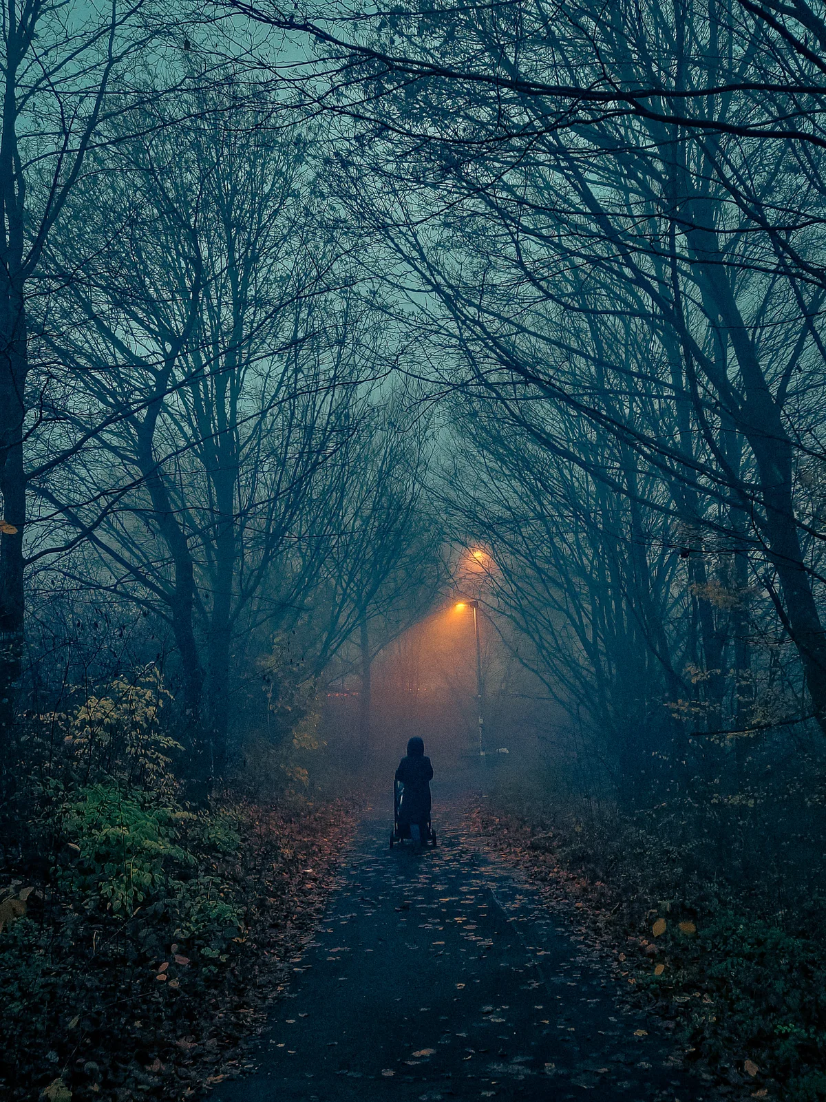 Into the Amber Fog — Ulm — Germany