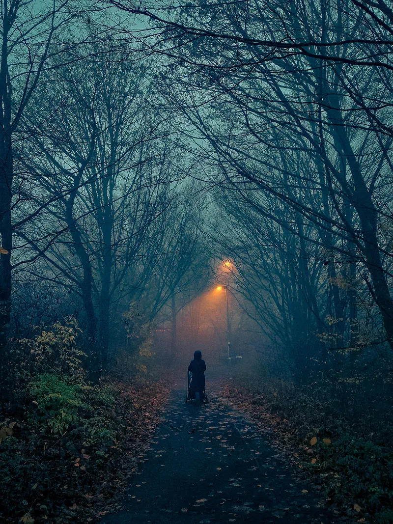 Into the Amber Fog