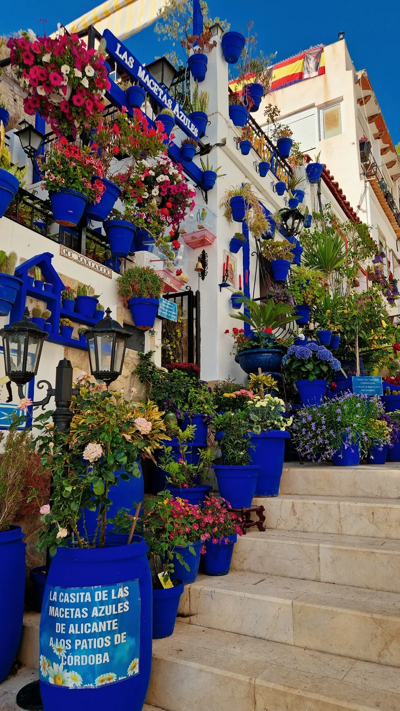 Las Macetas Azules