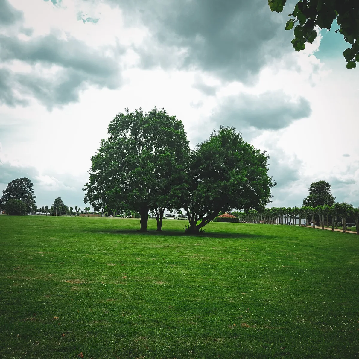 Storm Canopy — Xanten — Germany