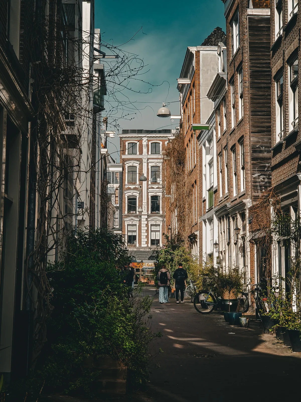 Street Scene — Amsterdam — Netherlands