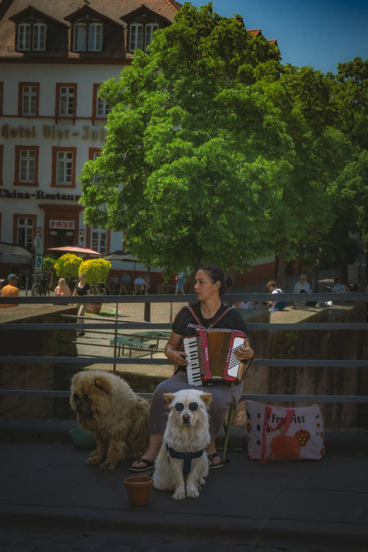 The Accordion Player — Heidelberg — Germany