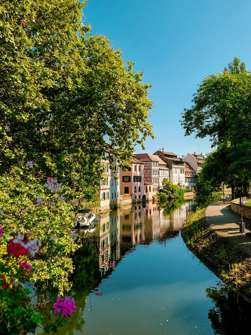 The Flowering Canal