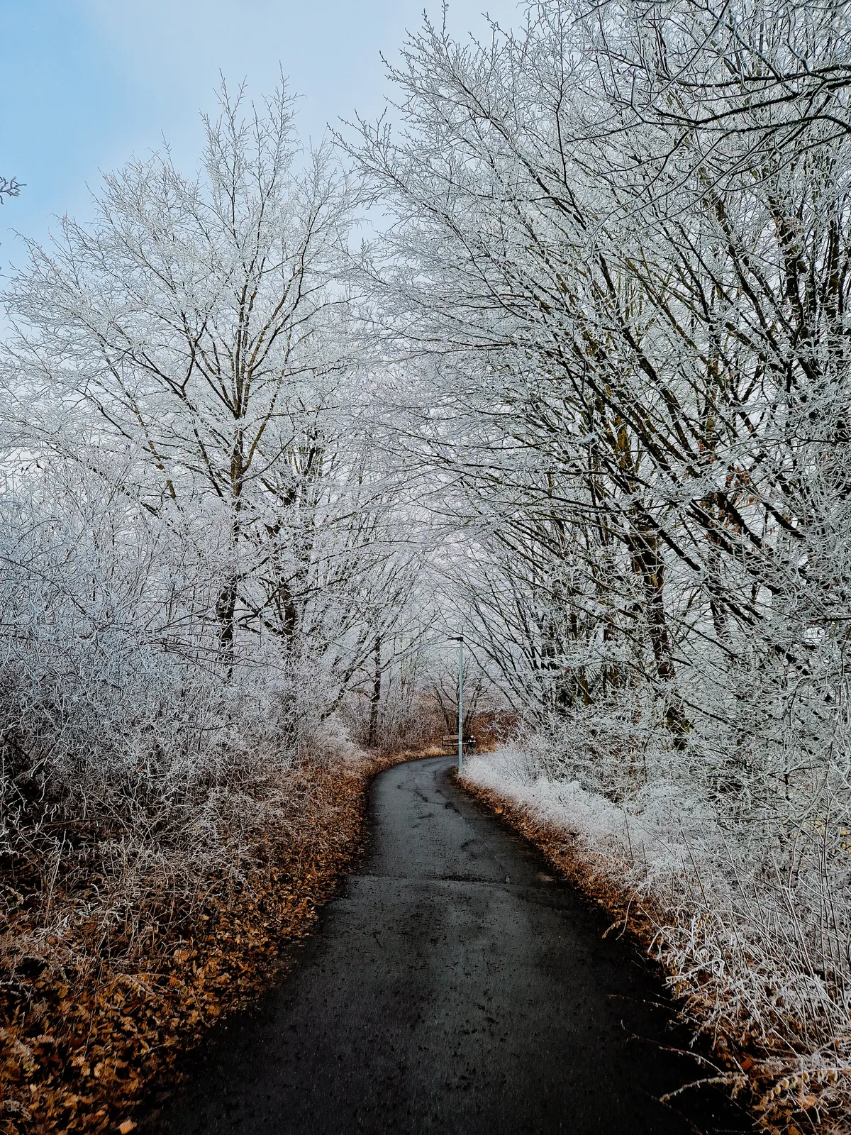 The Frost Corridor — Ulm — Germany