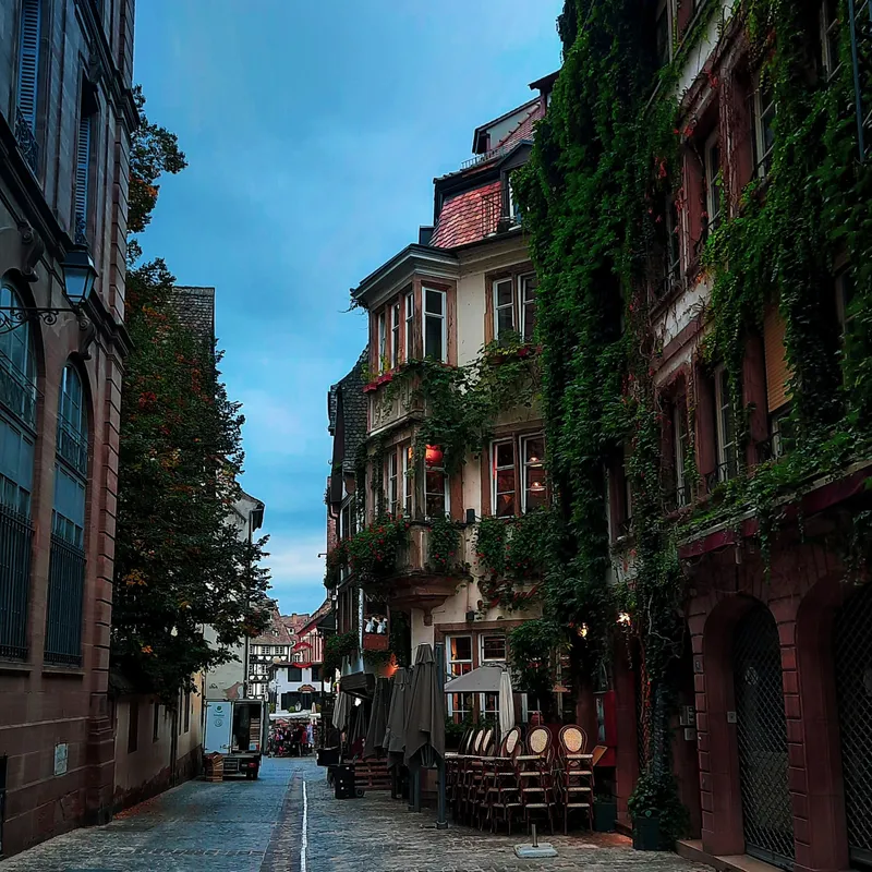 The Ivy Quarter