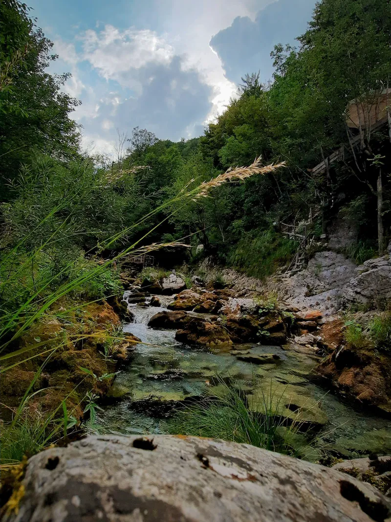 The Mountain Stream