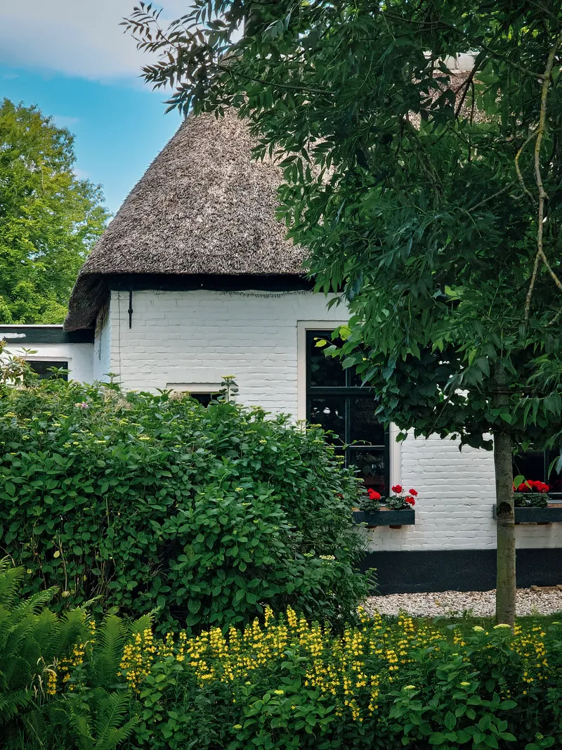 The Thatched Cottage