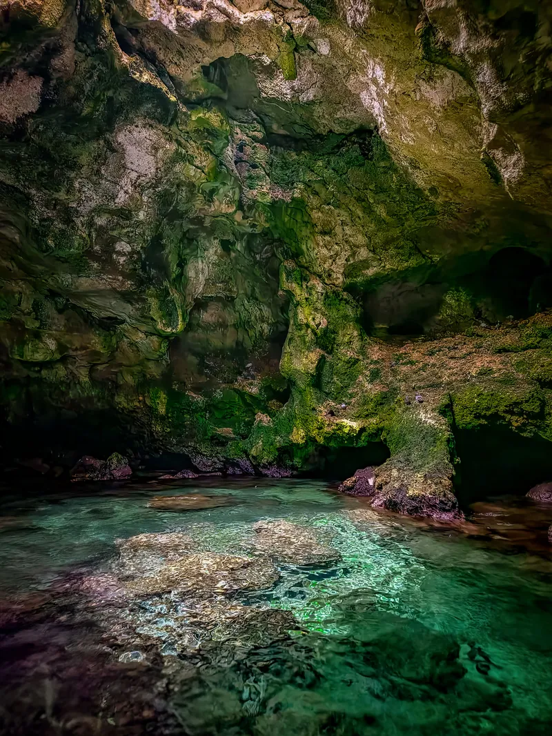 The Turquoise Hollow