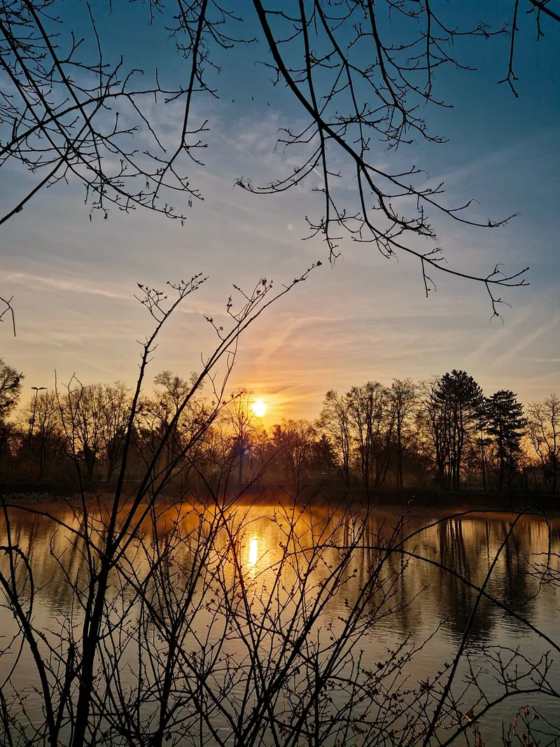Threads of Dawn