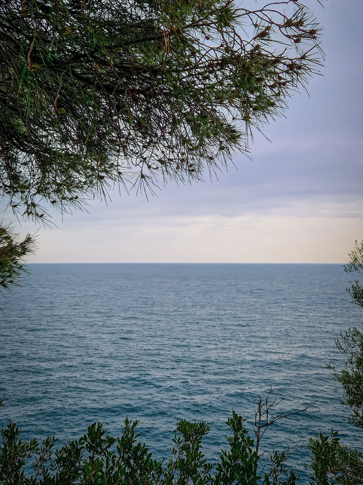 Through the Pines — Monaco — Monaco